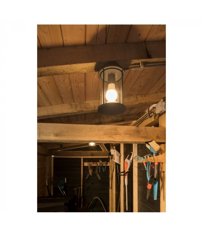 1 Light Outdoor Ceiling Light, A60, Round, Anthracite, Clear Glass, IP44, E27
