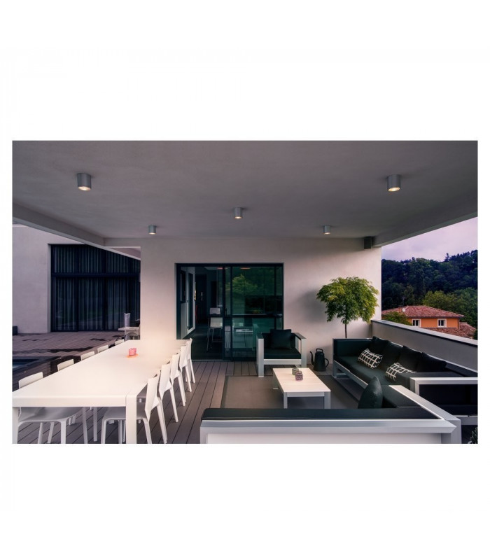 1 Light Outdoor Ceiling Light, Brushed Aluminium, Ip44, GU10