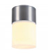 1 Light Outdoor Ceiling Light, Brushed Aluminium, Ip44, E27