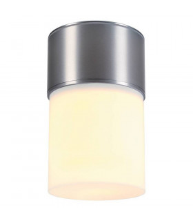 1 Light Outdoor Ceiling Light, Brushed Aluminium, Ip44, E27
