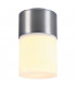 1 Light Outdoor Ceiling Light, Brushed Aluminium, Ip44, E27