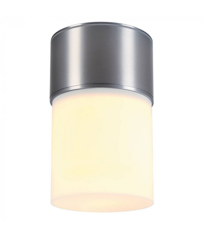 1 Light Outdoor Ceiling Light, Brushed Aluminium, Ip44, E27