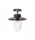 1 Light Outdoor Ceiling Light, Anthracite, Ip44, E27