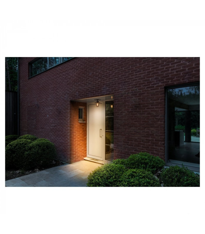 1 Light Outdoor Ceiling Light, Anthracite, Ip44, E27