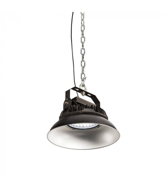 LED Outdoor Pendant Light, Black, 100W 4000K, Ip65