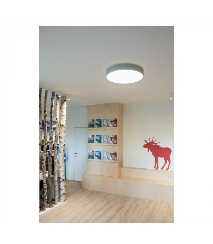 LED Outdoor Surface-Mounted Ceiling Light, Dali, Silver-Grey, 3000, 4000K