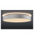 LED Outdoor Surface-Mounted Ceiling Light, Dali, Silver-Grey, 3000, 4000K