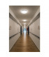 LED Outdoor Surface-Mounted Wall And Ceiling Light, White, Ip44, 3000, 4000K