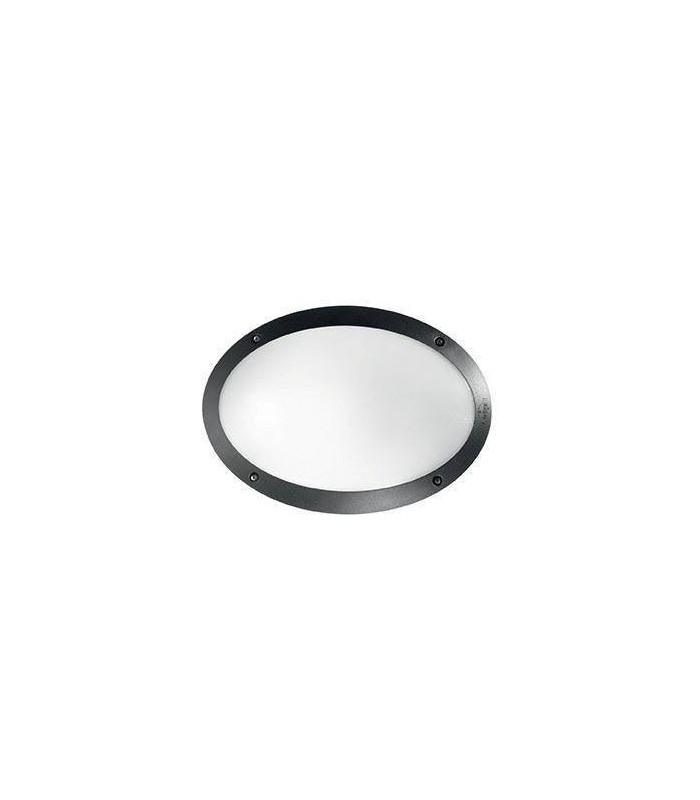 1 Light Diffuser Outdoor Flush Ceiling / Wall Light Black IP66, E27