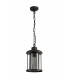 Ceiling Pendant, 1 x E27, Antique Bronze, Clear Glass, IP54