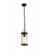 Ceiling Pendant, 1 x E27, Black & Gold, Clear Glass, IP54