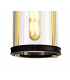 Ceiling Pendant, 1 x E27, Black & Gold, Clear Glass, IP54
