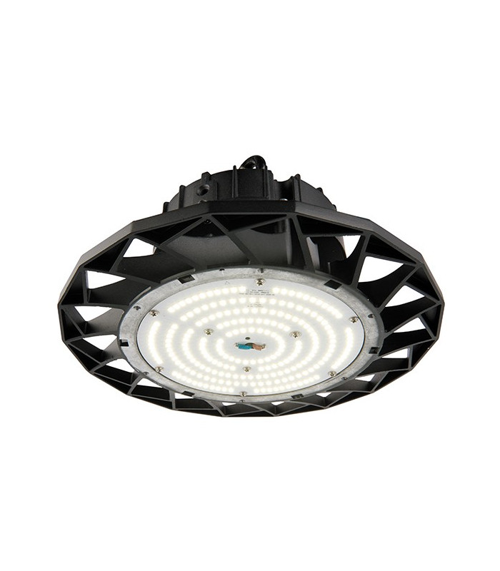 Outdoor Integrated LED A Lightum 100W IP65 100W Matt Black Paint