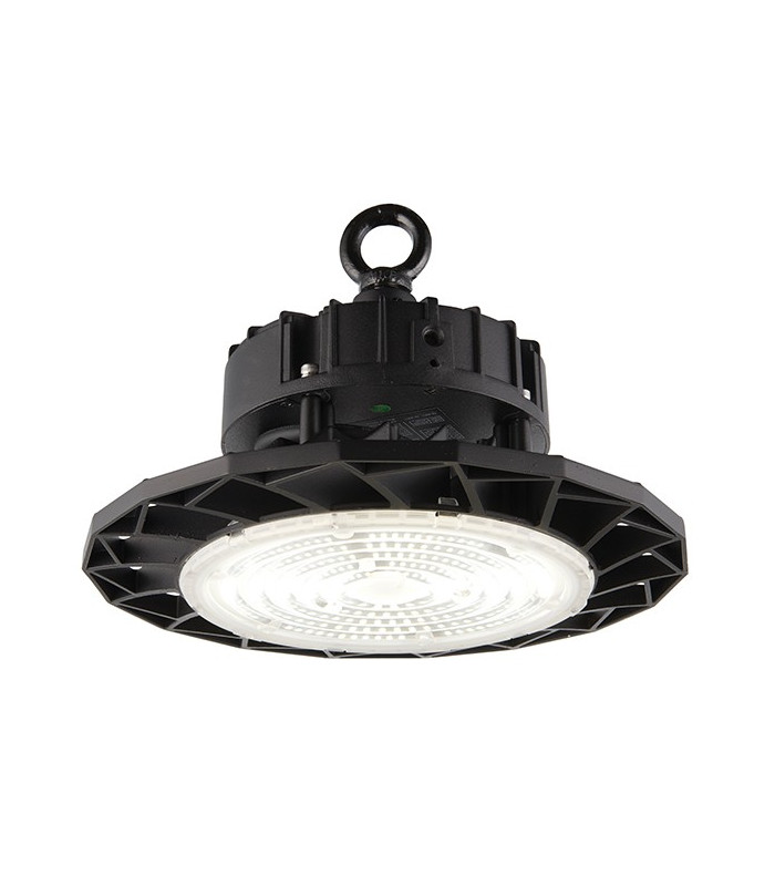 Outdoor Integrated LED A Lightum 100W IP65 100W Matt Black Paint