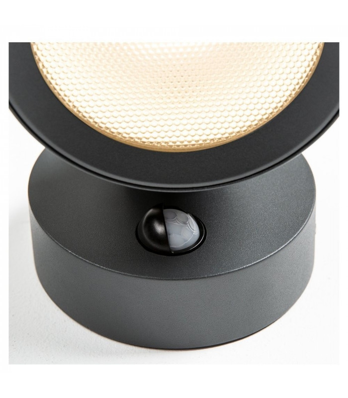 Sensor Outdoor Surface-Mounted Wall Light Anthracite IP65 Dimmable