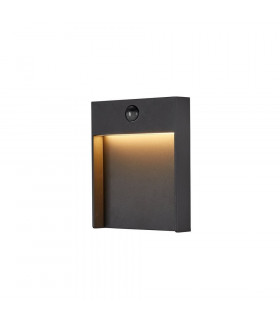 Outdoor LED Surface-Mounted Wall Light PIR 3000/4000K IP65 Anthracite