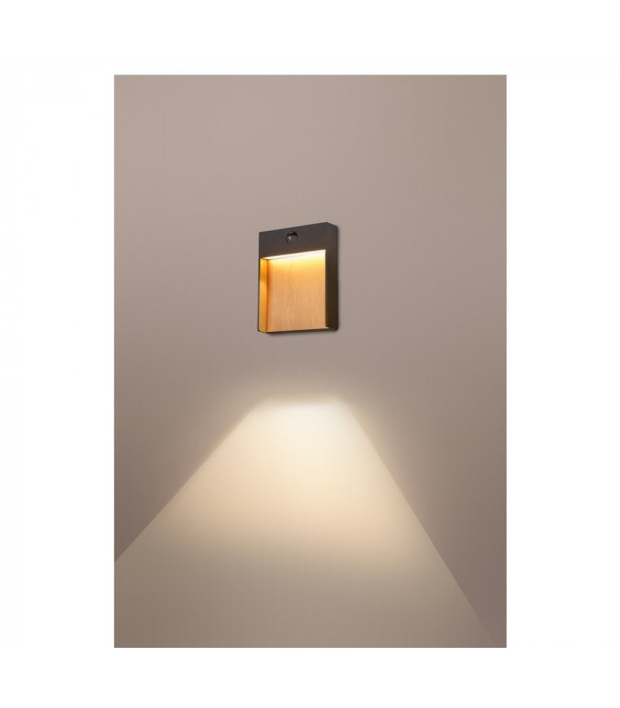 Outdoor LED Surface-Mounted Wall Light PIR 3000/4000K IP65 Anthracite/Brown