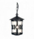 1 Light Outdoor Ceiling Lantern Black, E27