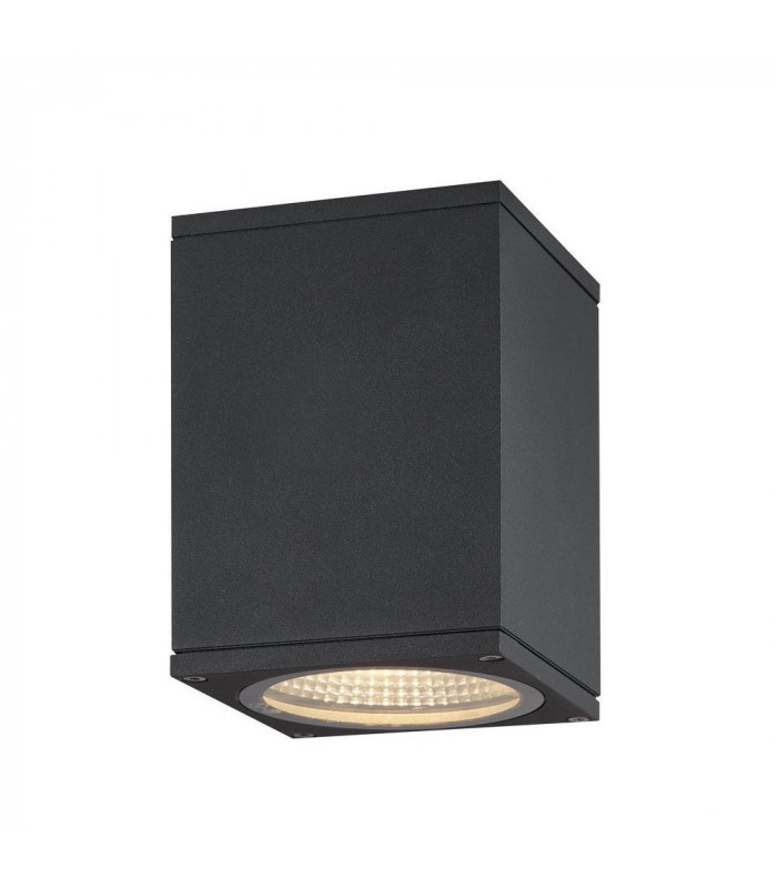 Outdoor LED Surface-Mounted Ceiling Light Anthracite 3000/4000K