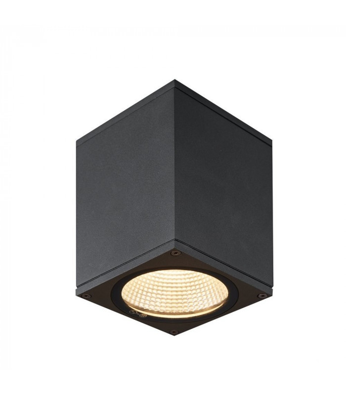 Outdoor LED Surface-Mounted Ceiling Light Anthracite 3000/4000K
