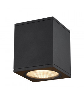 Outdoor LED Surface-Mounted Ceiling Light Anthracite 3000/4000K
