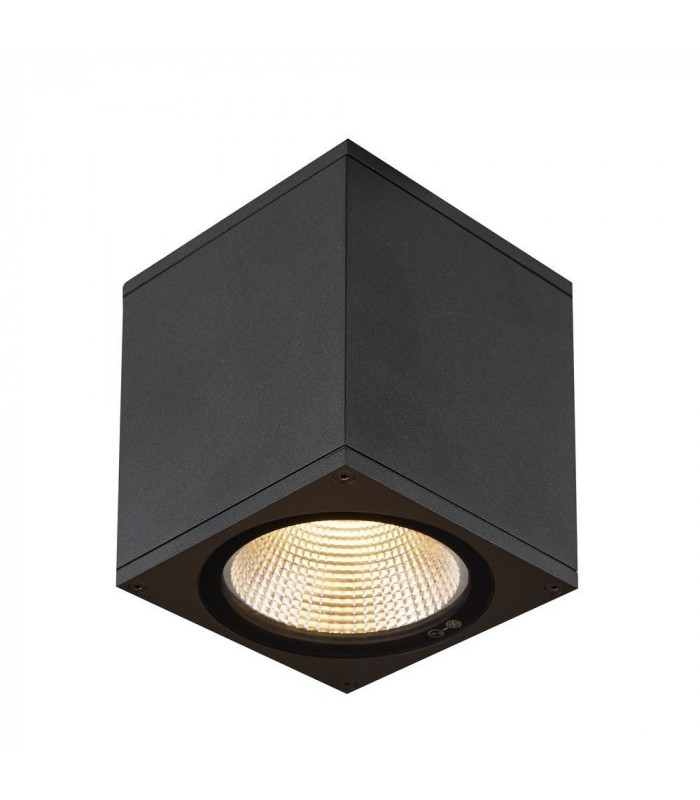 Outdoor LED Surface-Mounted Ceiling Light Anthracite 3000/4000K