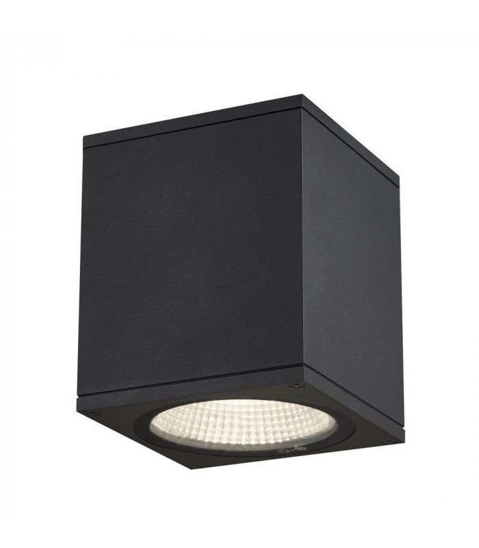 Outdoor LED Surface-Mounted Ceiling Light Anthracite 3000/4000K