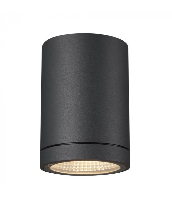 Outdoor LED Surface-Mounted Ceiling Light Anthracite 3000/4000K