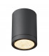 Outdoor LED Surface-Mounted Ceiling Light Anthracite 3000/4000K