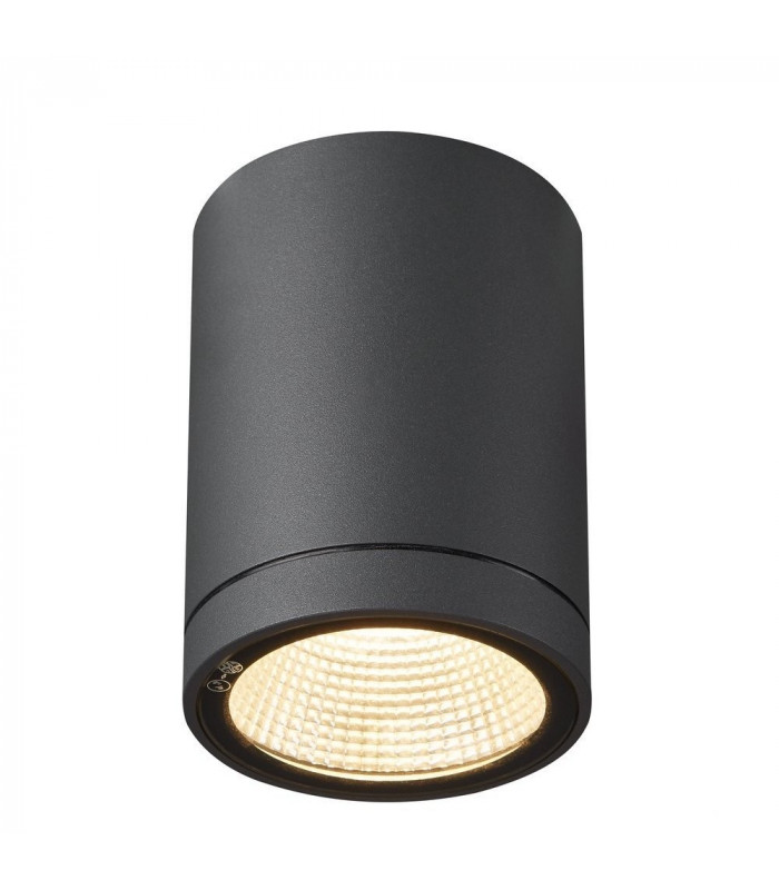 Outdoor LED Surface-Mounted Ceiling Light Anthracite 3000/4000K