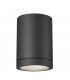 Outdoor LED Surface-Mounted Ceiling Light Anthracite 3000/4000K