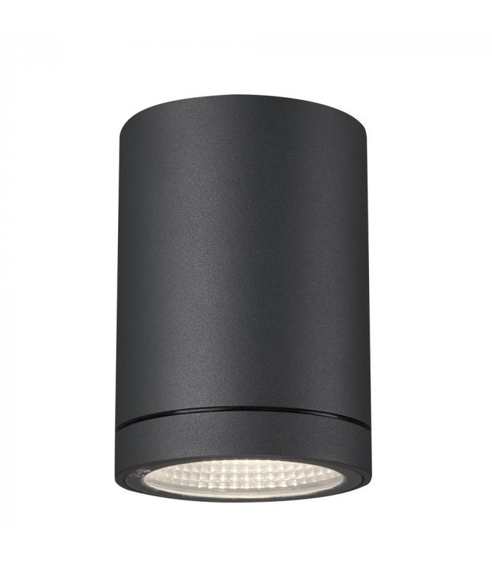 Outdoor LED Surface-Mounted Ceiling Light Anthracite 3000/4000K