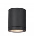 Outdoor LED Surface-Mounted Ceiling Light Anthracite 3000/4000K