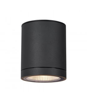 Outdoor LED Surface-Mounted Ceiling Light Anthracite 3000/4000K