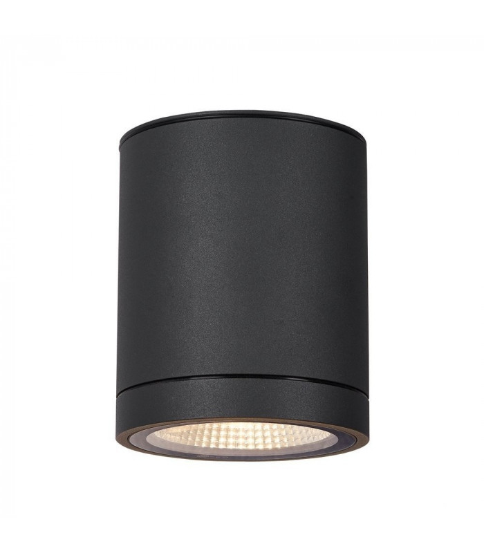 Outdoor LED Surface-Mounted Ceiling Light Anthracite 3000/4000K