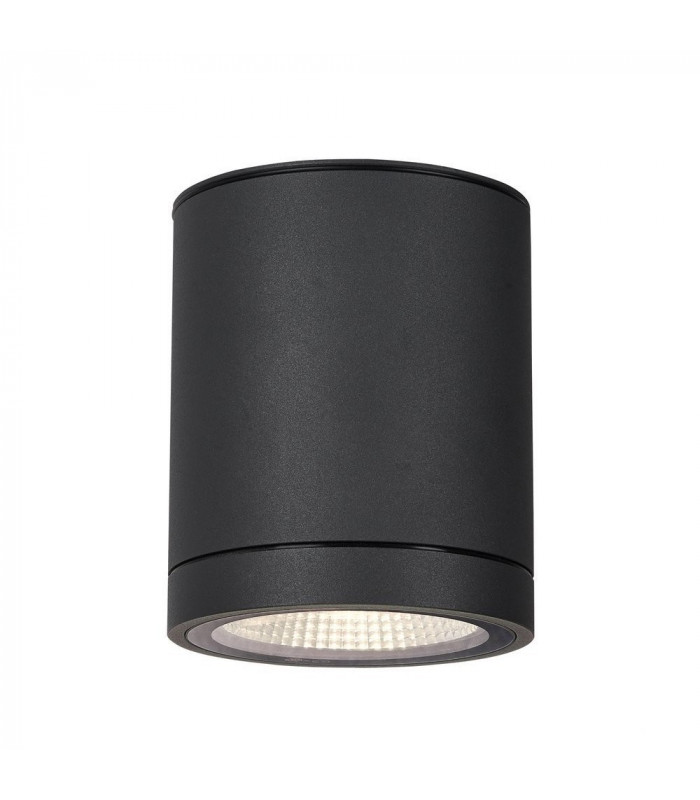 Outdoor LED Surface-Mounted Ceiling Light Anthracite 3000/4000K