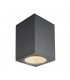 Outdoor LED Surface-Mounted Ceiling Light Anthracite 3000/4000K