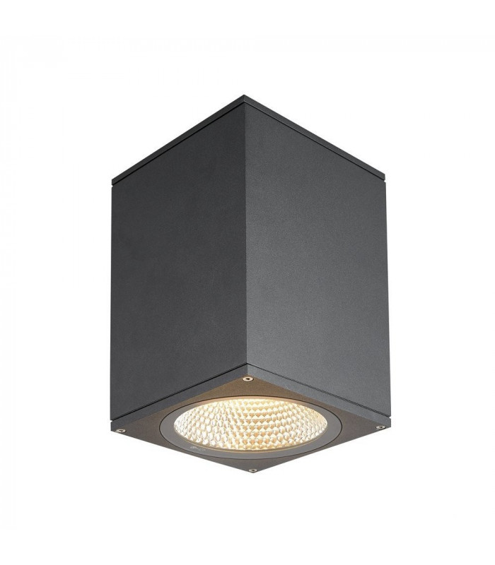 Outdoor LED Surface-Mounted Ceiling Light Anthracite 3000/4000K