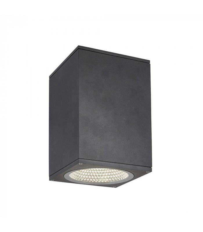 Outdoor LED Surface-Mounted Ceiling Light Anthracite 3000/4000K