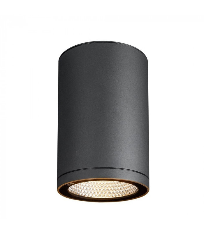 Outdoor LED Surface-Mounted Ceiling Light Anthracite 3000/4000K