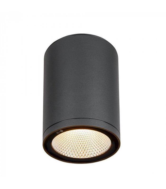 Outdoor LED Surface-Mounted Ceiling Light Anthracite 3000/4000K