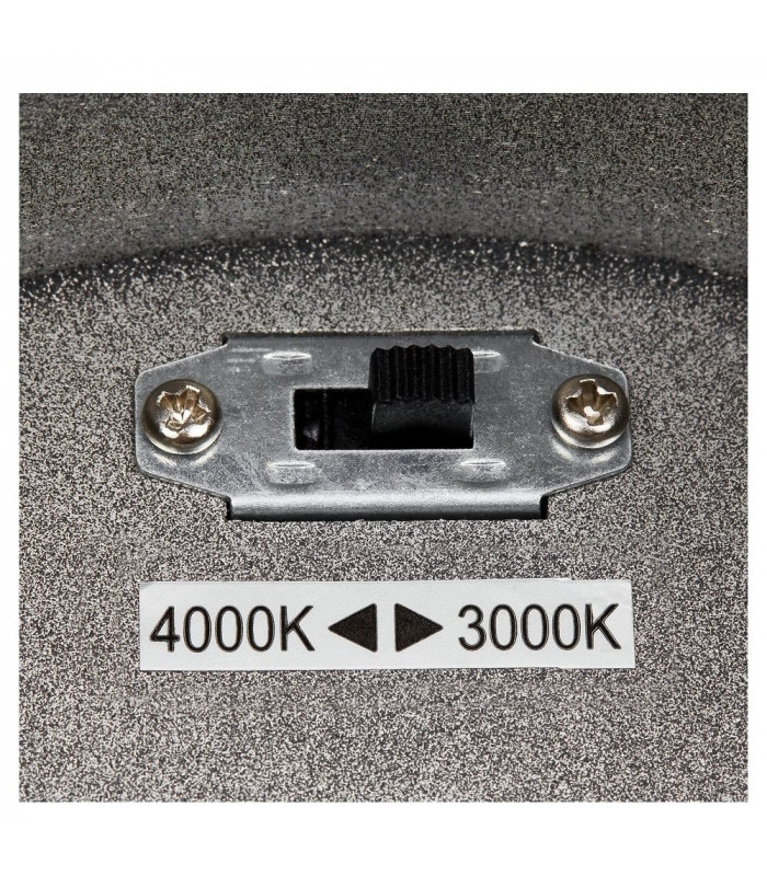 Outdoor LED Surface-Mounted Ceiling Light Anthracite 3000/4000K