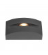 Outdoor LED Wall And Ceiling Mounted Light Anthracite 3000K