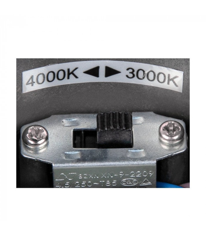 LED Outdoor Ceiling-Mounted Ceiling Light Anthracite Switch 3000/4000K