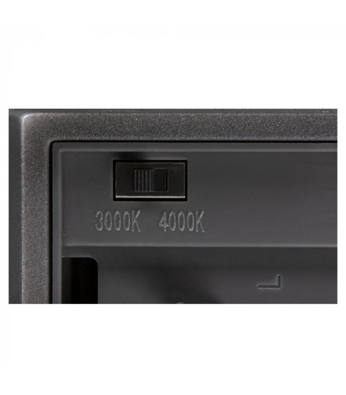 Outdoor LED Wall-Mounted Light Anthracite Switch 3000/4000K