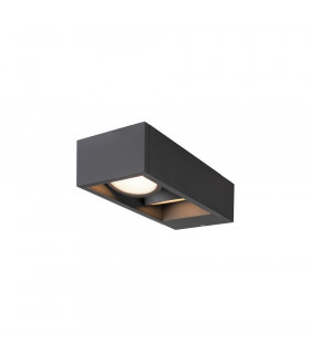 Outdoor LED Wall-Mounted Light Double Anthracite Switch 3000/4000K