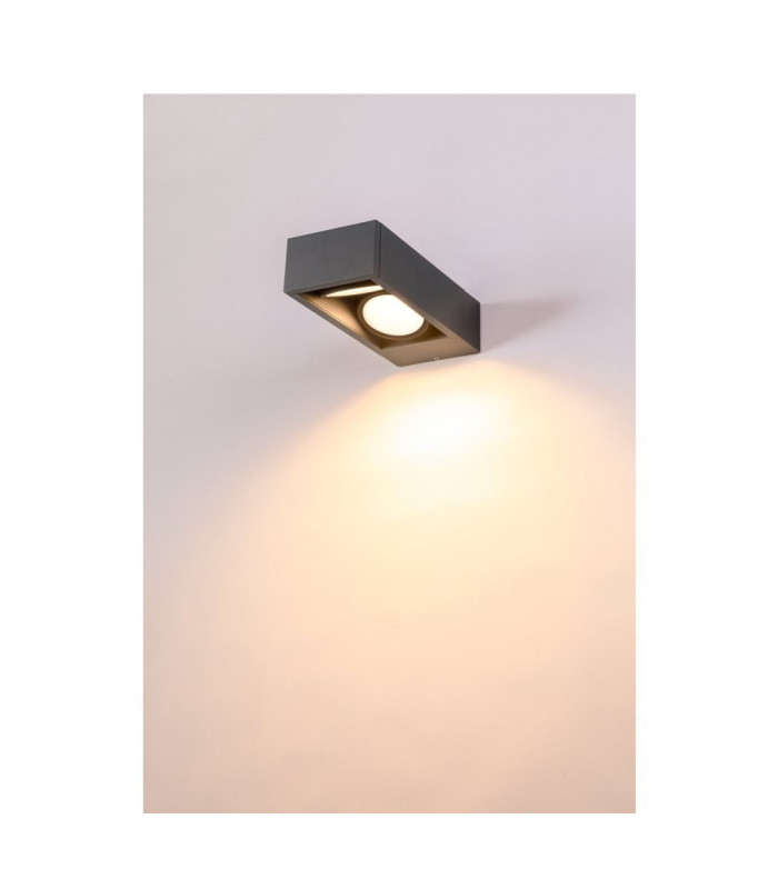 Outdoor LED Wall-Mounted Light Double Anthracite Switch 3000/4000K