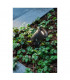 Outdoor Ground Spike Light Black