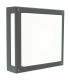 Integrated LED Outdoor Wall, Ceiling Light, Graphite, IP65