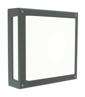Integrated LED Outdoor Wall, Ceiling Light, Graphite, IP65